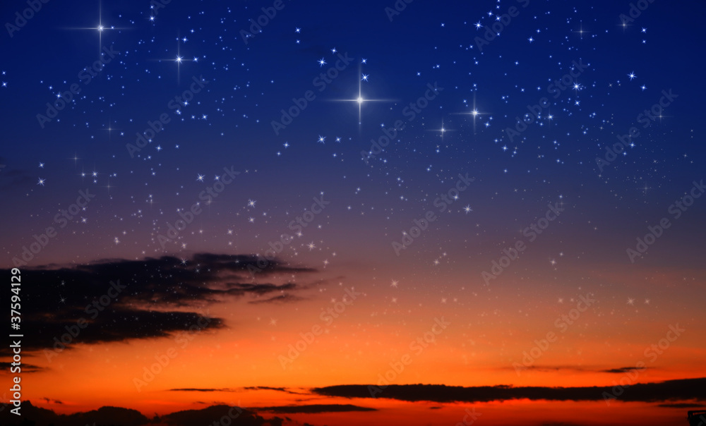 stars stars