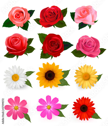Big set of beautiful colorful flowers. Vector illustration.