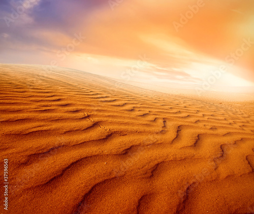 sunset in sand desert