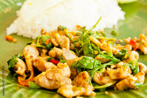 Thai Basil Fried Rice with chicken photo