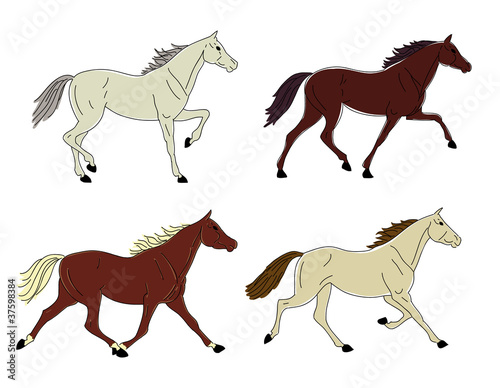 Horses