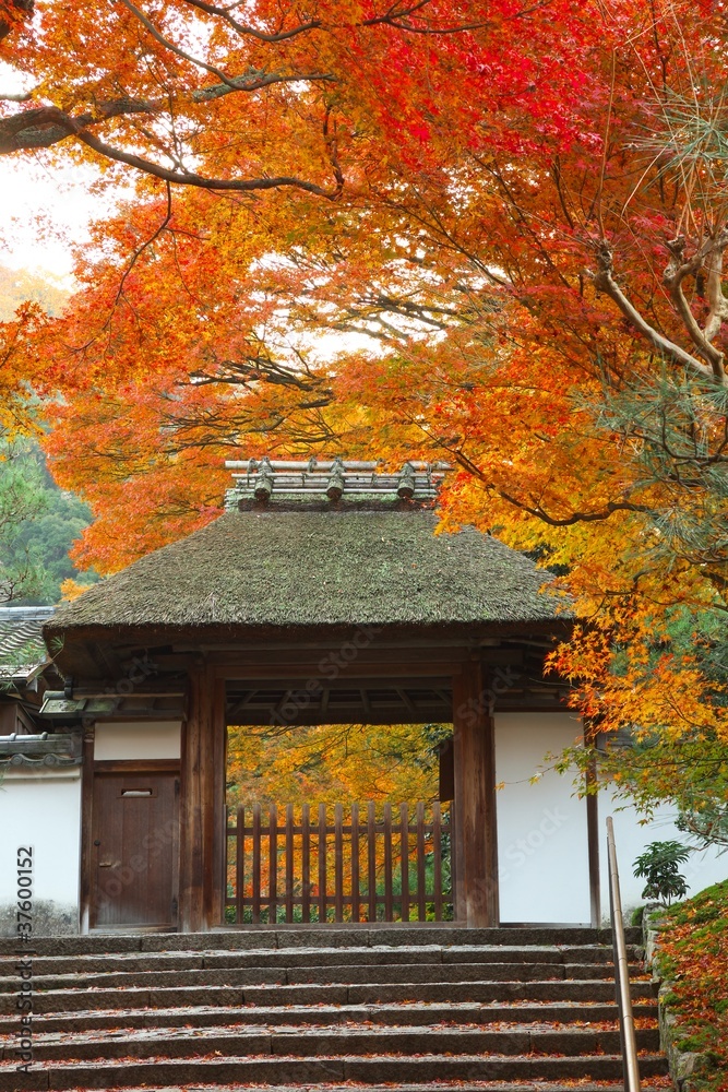 秋の安楽寺 秋の安楽寺