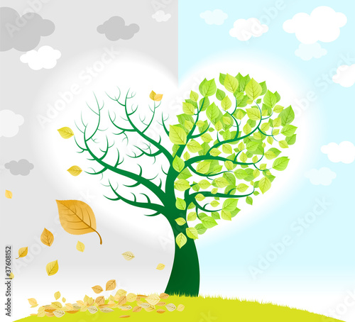 Spring and autumn tree