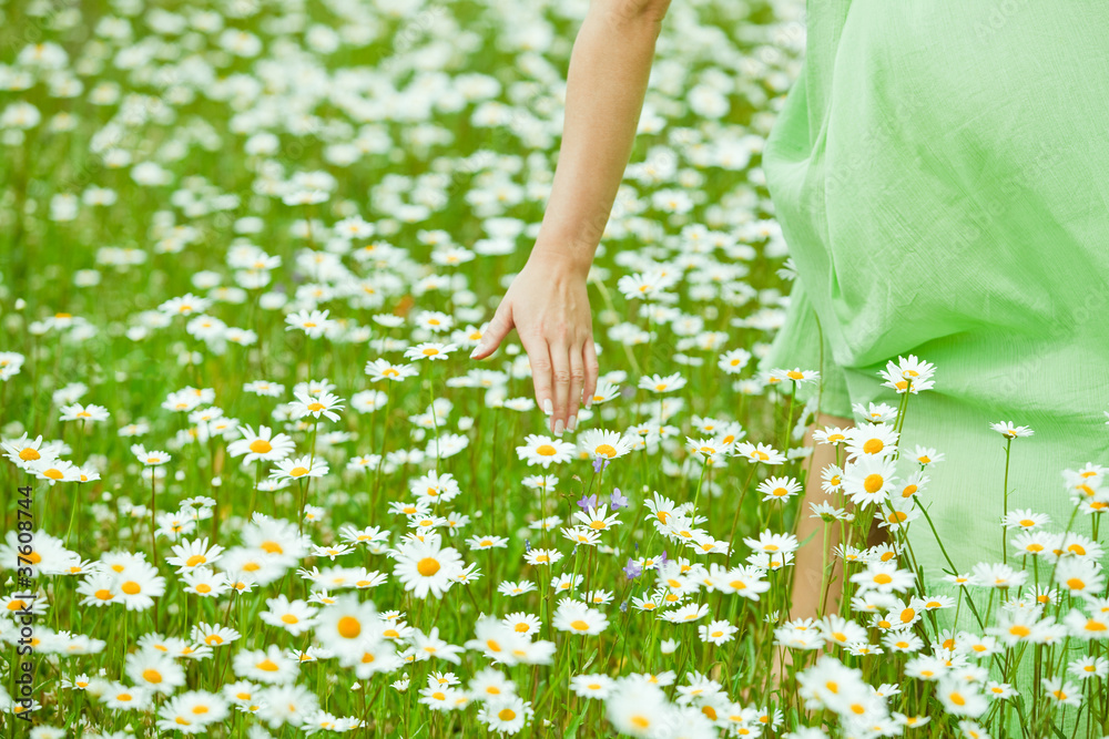 Девушка и ромашковое поле Stock 写真 | Adobe Stock