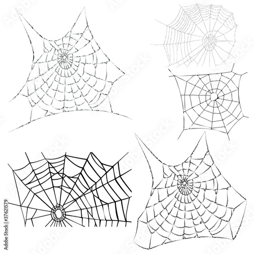 vector cobwebs