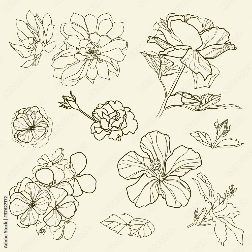 Set of floral design elements