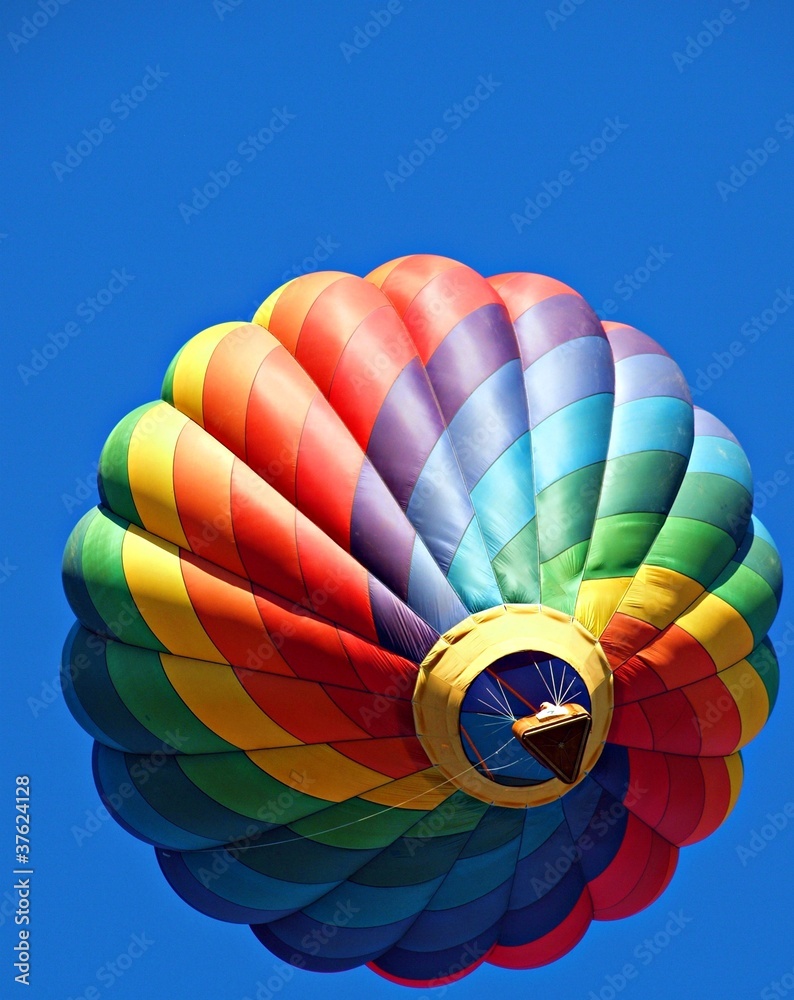 Obraz premium Hot Air Balloon
