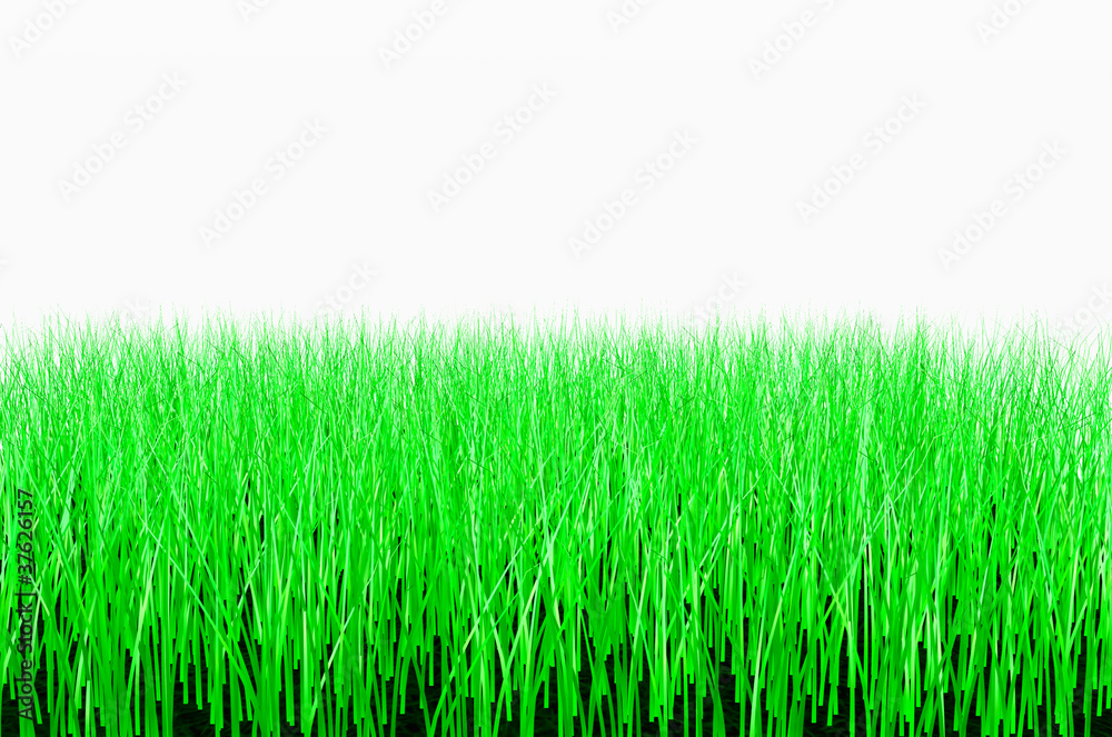 Obraz premium herbe