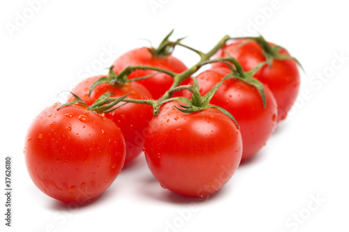 Wet Cherry tomatoes on white