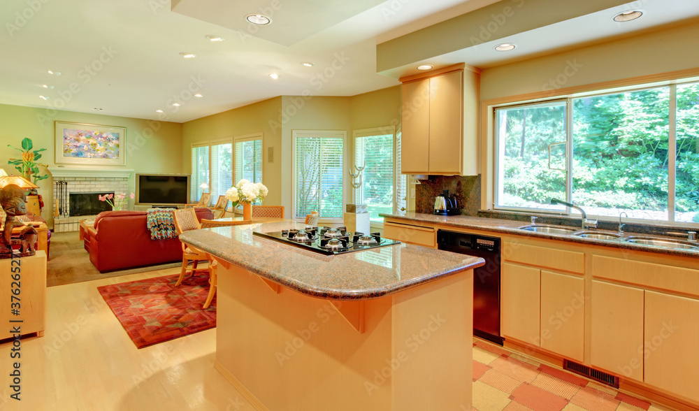 Kitchen and living room with many windows.