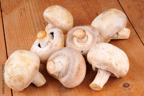 Des champignons de Paris