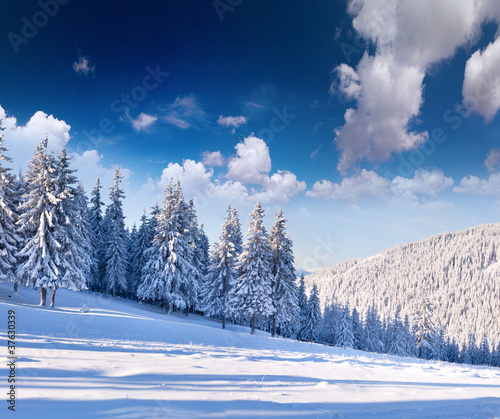 Beautiful winter landscape with snow covered trees. © Andrew Mayovskyy