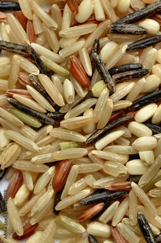 Organic Rice Closeup