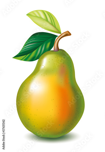 Pear with the leaves