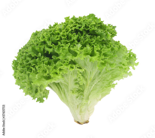 lettuce leaves on white