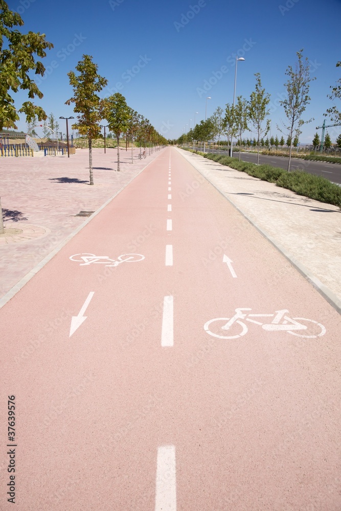 Obraz premium bikeway in Madrid