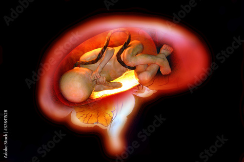 gestazione photo