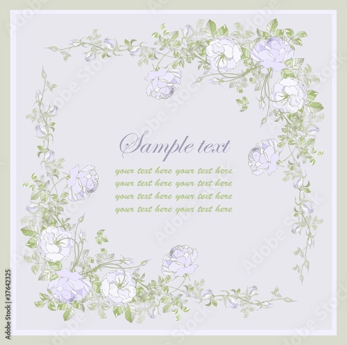 Greeting card with rose.