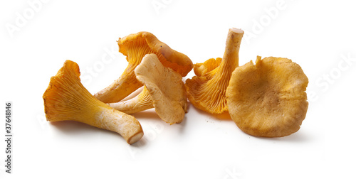 Chanterelles