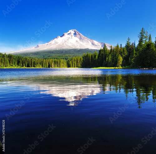 The Mount Hood reflection in Trillium Lake photo