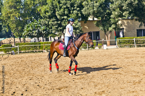 female rider trains the horse in the riding course photo