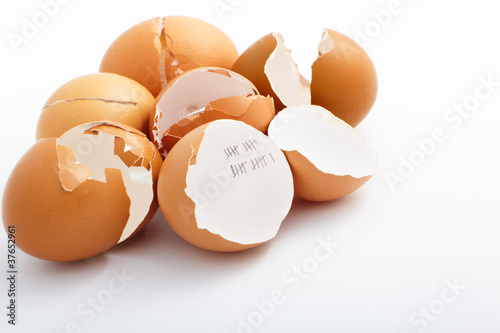 Hatched egg