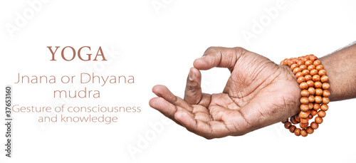 Canvastavla Yoga JNANA mudra