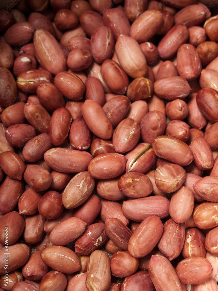 Close-up of peanuts Close-up of peanuts
