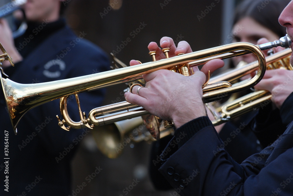 Fototapeta premium concert