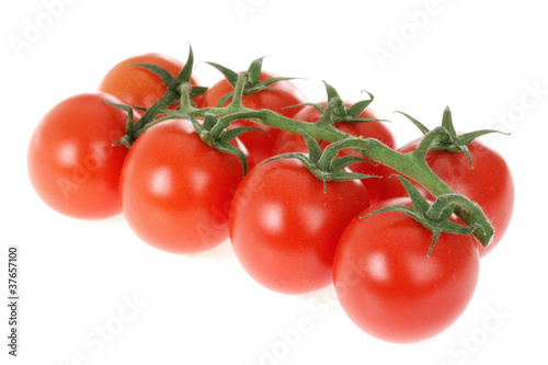 Organic Vine Grown Tomatoes