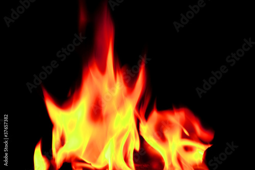 vibrant open fire flames