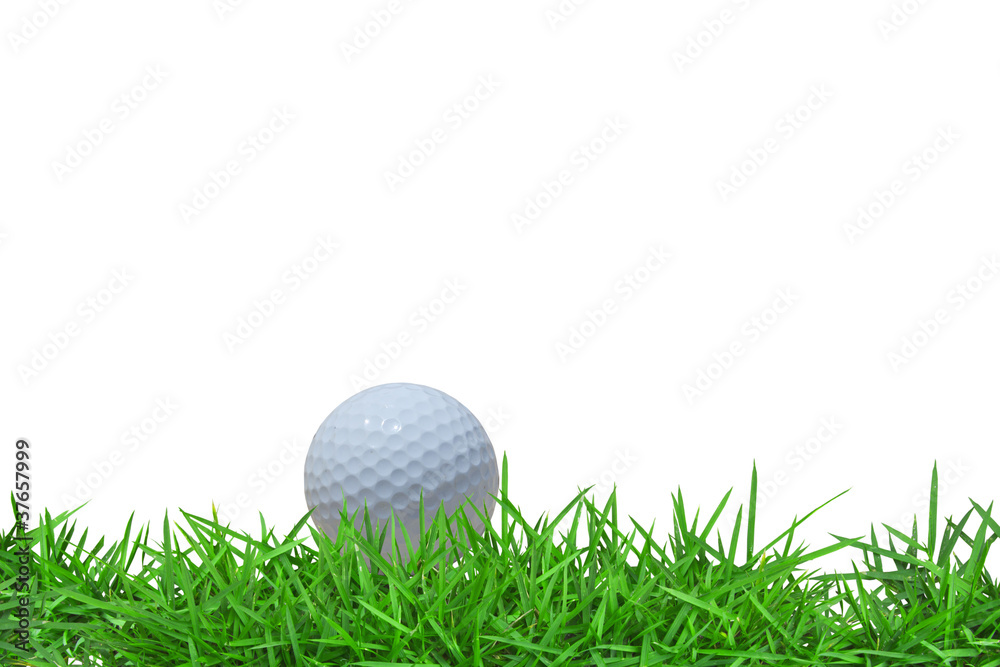 Fototapeta Piłka golfowa na zielonej trawie