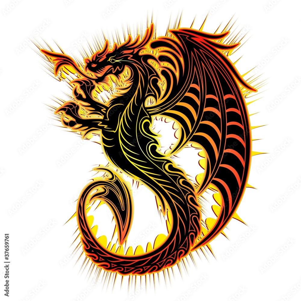 Drago Fuoco SimboloFire Dragon Symbol2012 Stock Vector Adobe Stock