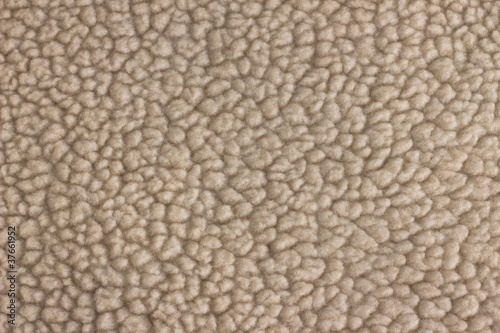 Fleece Sheepskin Lining Texture