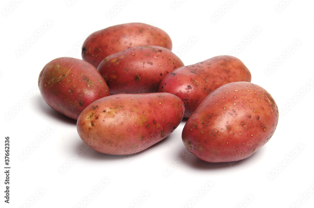 Potato isolated on white background close up Potato isolated on white background close up