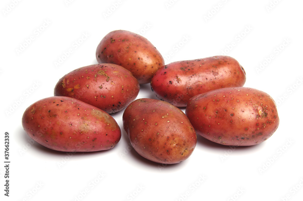 Potato isolated on white background close up Potato isolated on white background close up