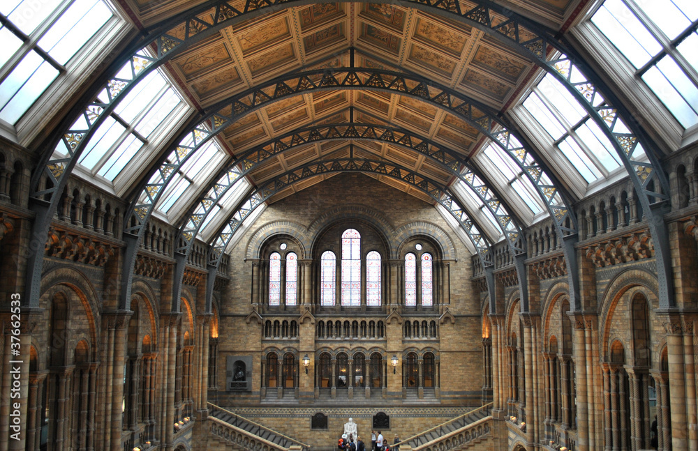 Musée de l'Histoire naturelle, Londres, le dome