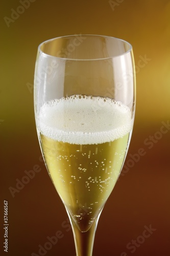champagne glass on golden background