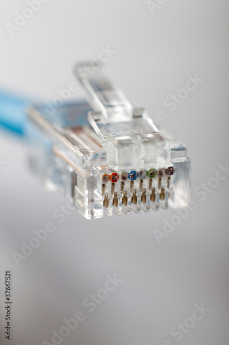 Wallpaper Mural RJ45 cable on gray background. Shallow DOF. Torontodigital.ca