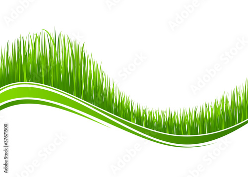 Grass wave background