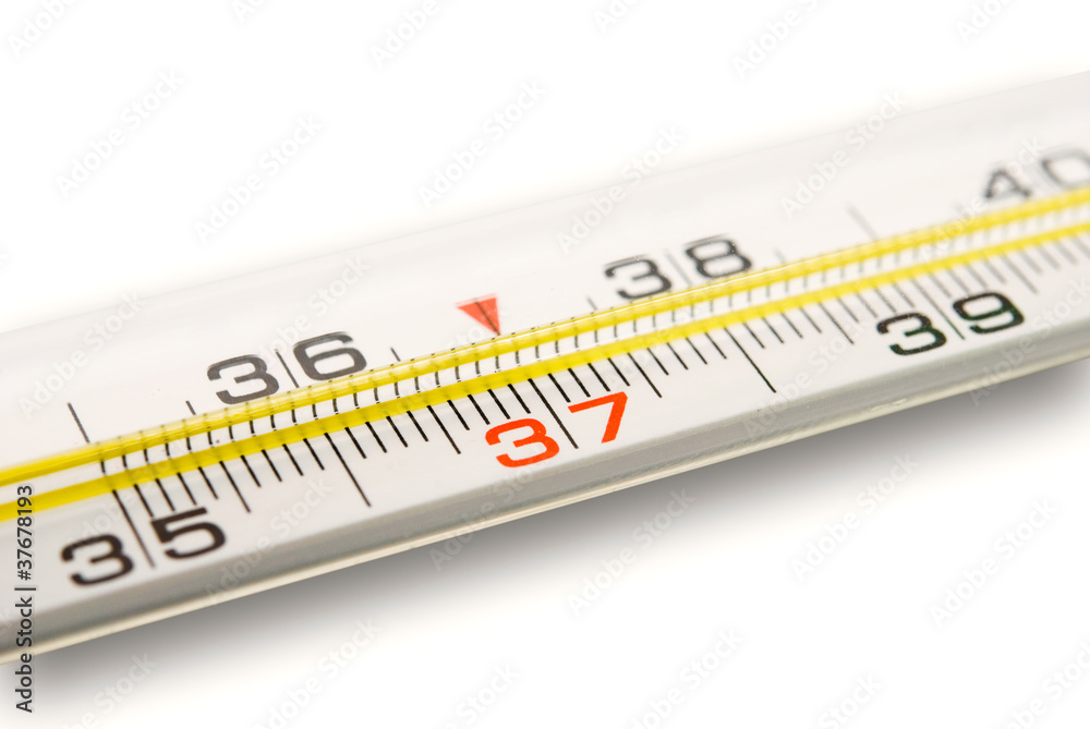 thermometer thermometer