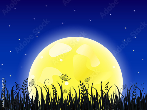 Huge yellow moon with grass meadow