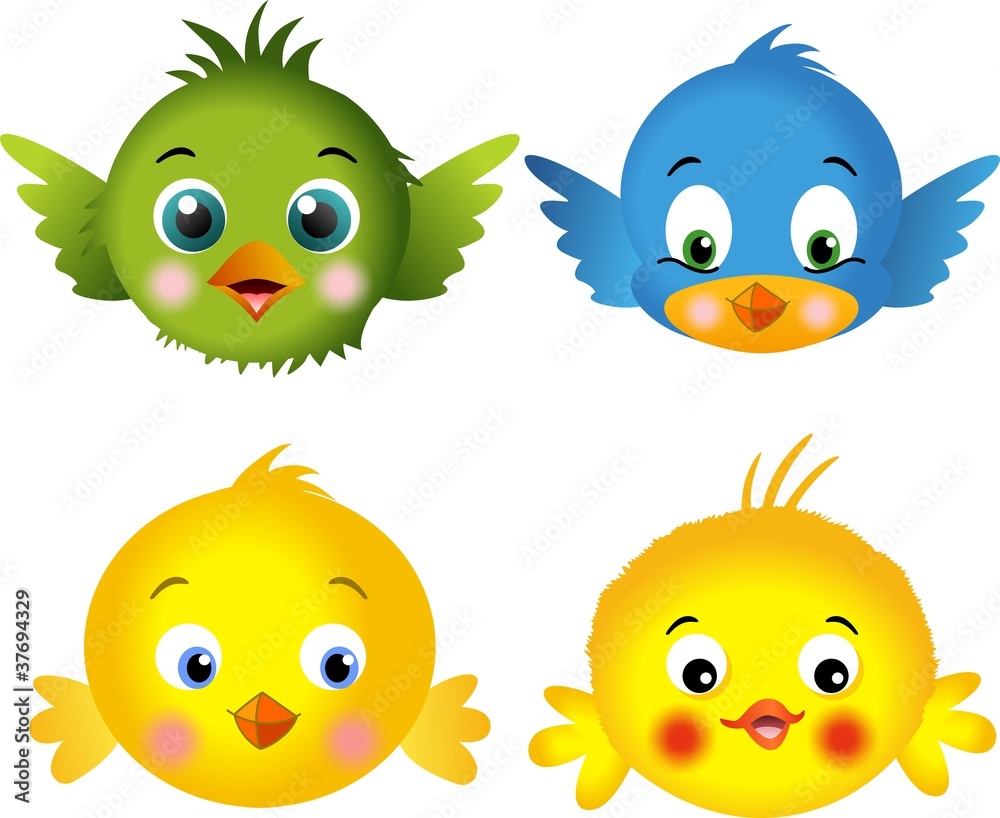 Birds and chicks Birds and chicks