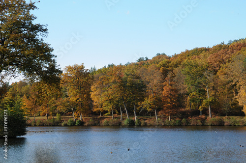 Les Vaux de Cernay dans les Yvelines photo