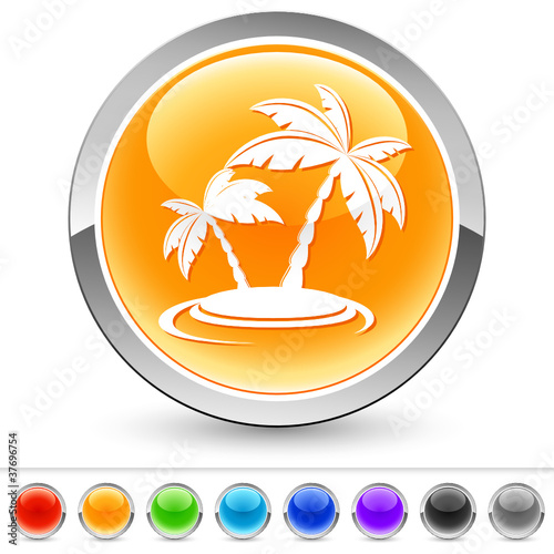 Palmen auf der Insel