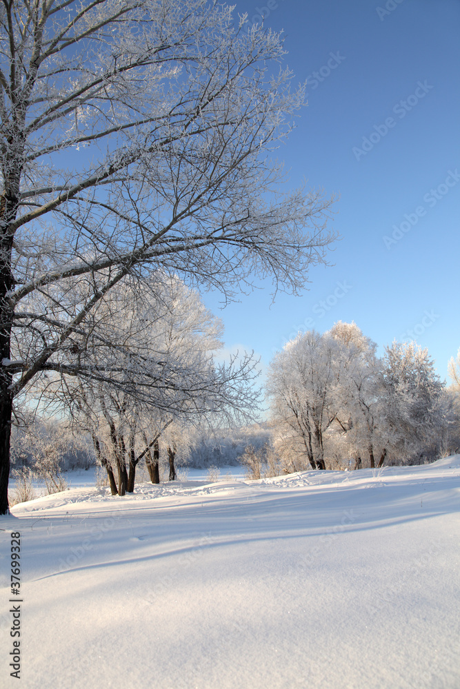 winter landscape winter landscape