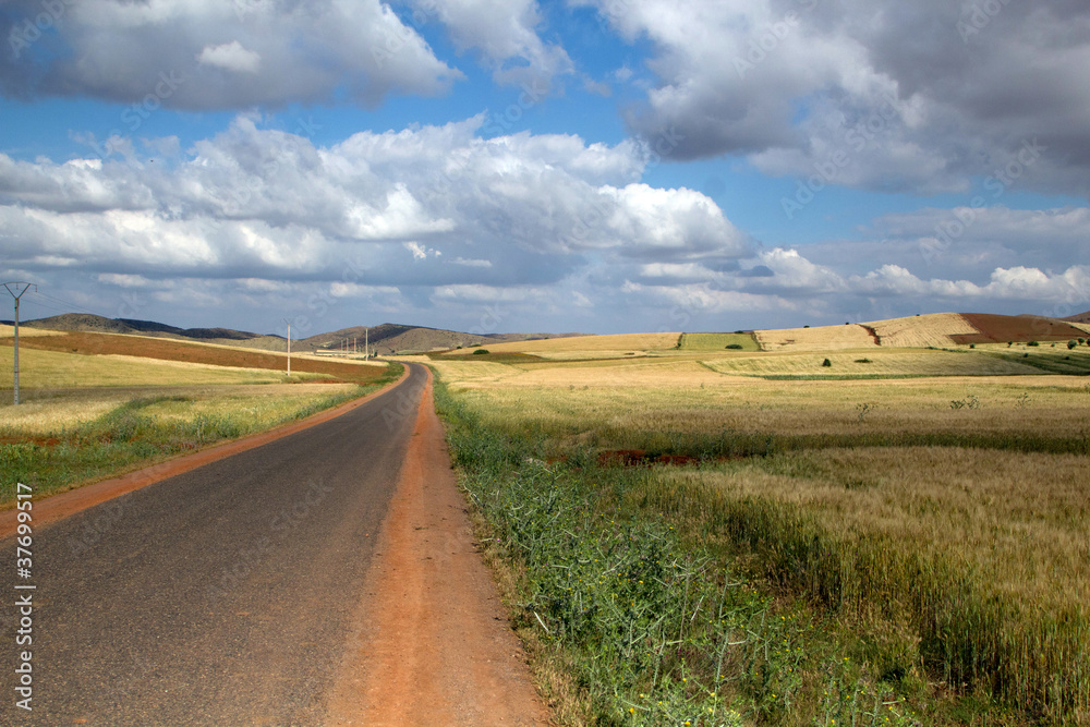 Wheat landscape with road leading to unknown
