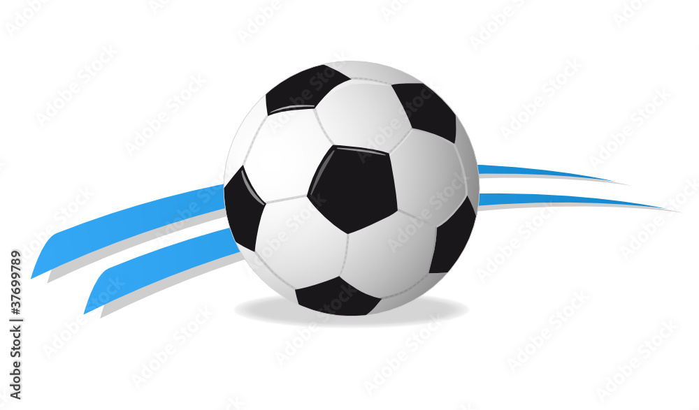 Fototapeta premium Fussball - Soccer - 7