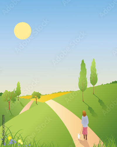 spring landscape