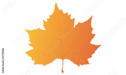 feuille automne